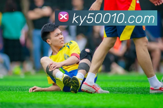 奖项证书